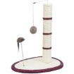 3.6_4306 TRIXIE Scratch Me Draskyklė stulpas, 50 cm paveikslėlis