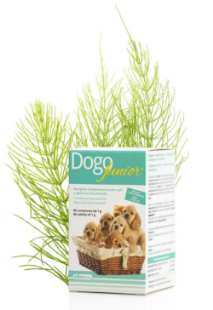 DG36400 DOGOTEKA DOGOjunior 60 tabl. paveikslėlis