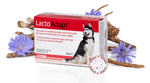 DG31341 DOGOTEKA LactoAdapt 60 60 tabl. paveikslėlis