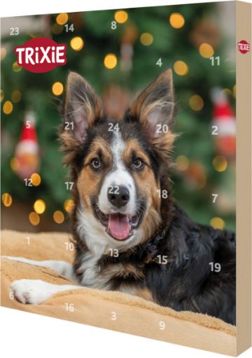 TRX_9268 TRIXIE Xmas Advento kalendorius šunims, 30 × 34 × 3.5 cm paveikslėlis