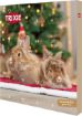 TRX_9270 TRIXIE Xmas Advento kalendorius smulkiems gyvūnams, 30 × 34 × 3.5 cm paveikslėlis