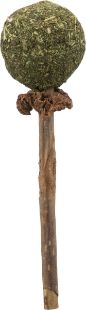3.5_42430 TRIXIE Matatabi žaislas katei lazdelė su katžolės kamuoliuku, 11 cm (pak.4) paveikslėlis