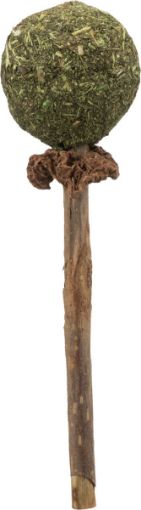 3.5_42430 TRIXIE Matatabi žaislas katei lazdelė su katžolės kamuoliuku, 11 cm (pak.4) paveikslėlis