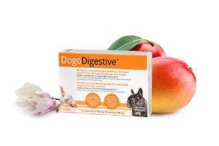 DG44999 DOGOTEKA DogoDigestive 30 tabl. paveikslėlis