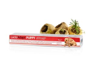 DG30112 DOGOTEKA LactoAdapt Puppy Pasta 15 g paveikslėlis