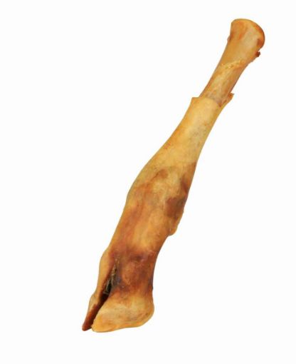 1.7_2740 TRIXIE Ėriuko koja džiovinta 16–18 cm (pak.20) paveikslėlis