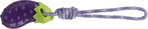 1.8_34707 TRIXIE Žaislas šuniui Baklažanas ant virvės, TPR, 13 cm/34 cm (pak.3) paveikslėlis