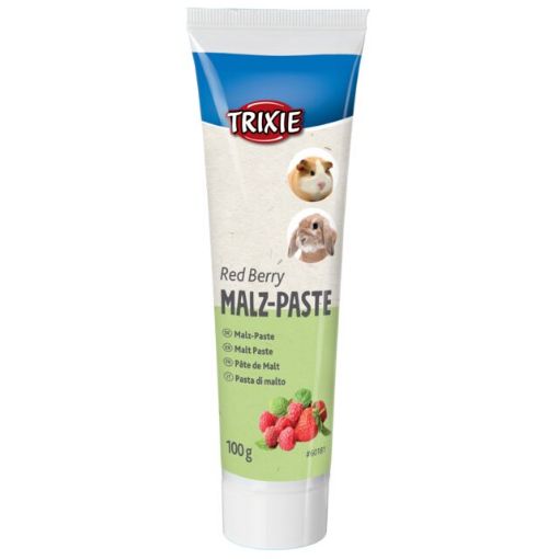 5.0_60181 TRIXIE Salyklo pasta su uogomis graužikams, 100 g (pak.6) paveikslėlis