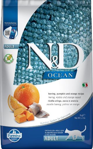 F36759 FARMINA N&D OCEAN - CAT Dry Herring Pumpkin&Orange ADULT 5 kg paveikslėlis