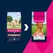 E02242 Euk Dog Senior L/XL Breed Lamb Rice 12 kg paveikslėlis