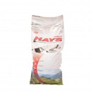 SU0008 Family Dog HAYS with Rabbit 15 kg paveikslėlis