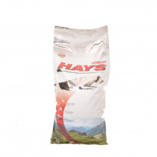 SU0008 Family Dog HAYS with Rabbit 15 kg paveikslėlis