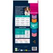 E02006 Euk Dog Salmon Barley S/M breed 12 kg, su lašiša ir miežiais paveikslėlis