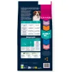 E01979 Euk Adult Small & Medium Breed Lamb & Rice 12 kg paveikslėlis