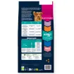 E01993 Euk Adult Large Breed Lamb & Rice 12 kg paveikslėlis