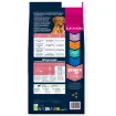 E02242 Euk Dog Senior L/XL Breed Lamb Rice 12 kg paveikslėlis