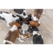 1.6_25281 TRIXIE Junior Puppy dubenėlis, 1.4 l/29 cm (pak.2) paveikslėlis