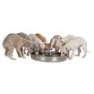 1.6_25282 TRIXIE Junior Puppy dubenėlis, 4 l/38 cm paveikslėlis